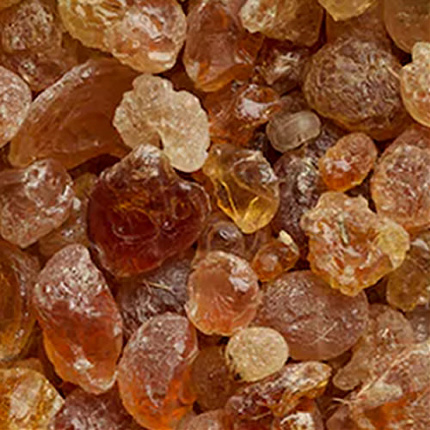 Gum Arabic (Acacia Gum) at Unify Agro Allied Ltd