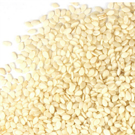 Sesame Seeds at Unify Agro Allied Ltd